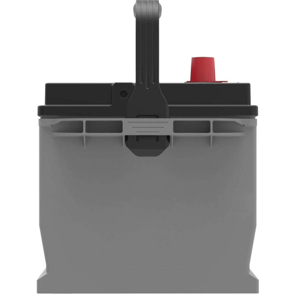 EverStart Platinum AGM Battery, Group Size 65